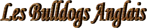 Les Bulldogs Anglais
