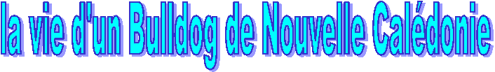Votre texte ici